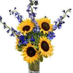 Sweet Sunflowers from your local Clinton,TN florist, Knight's Flowers
